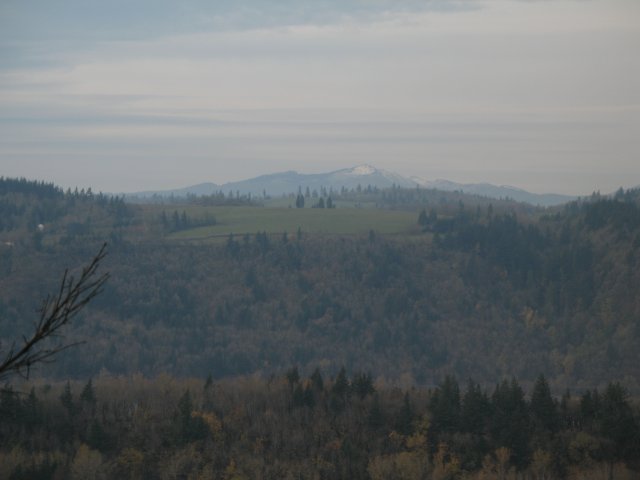 11.18.06 Latourell Falls 020 